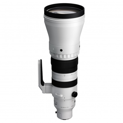 Sigma 300-600mm F4 DG OS | Sports lens for Sony E