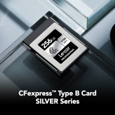 Lexar 256GB CFexpress Type B Silver R1750/W1300MB/s