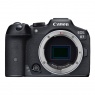 Canon EOS R7 Mirrorless Camera body