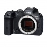 Canon EOS R7 Mirrorless Camera body