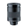 Swarovski Optik Telescope Eyepiece, 25-50x W