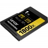 Lexar Lexar 1TB SDXC Gold UHS-II R280/W205MB/s