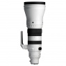 Sigma 300-600mm F4 DG OS | Sports lens for Sony E