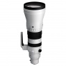 Sigma 300-600mm F4 DG OS | Sports lens for Sony E