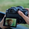 Sony Sony RX10 V | 24–600mm High-Zoom Camera