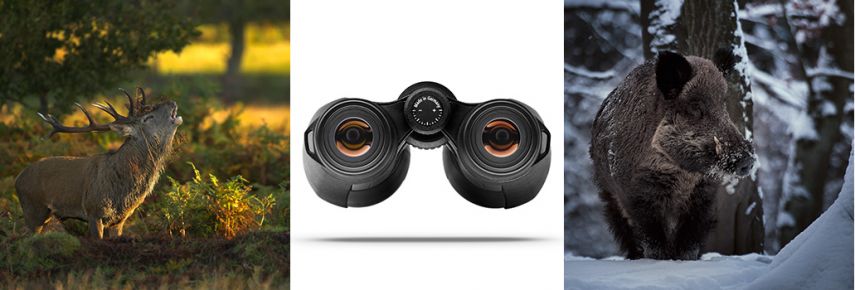 Zeiss Victory HT 10x54 T* Binoculars